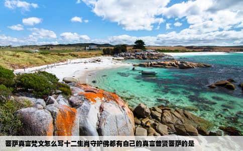 菩萨真言梵文怎么写十二生肖守护佛都有自己的真言普贤菩萨的是