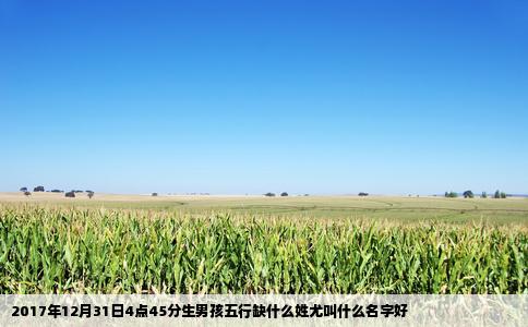 2017年12月31日4点45分生男孩五行缺什么姓尤叫什么名字好