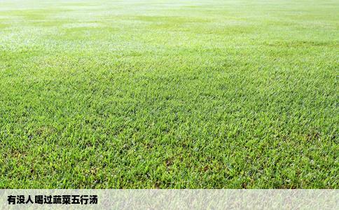 有没人喝过蔬菜五行汤