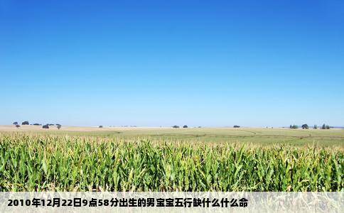 2010年12月22日9点58分出生的男宝宝五行缺什么什么命