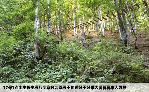 17号1点出生按生辰八字取名叫嘉辰不知道好不好求大师算算本人姓聂