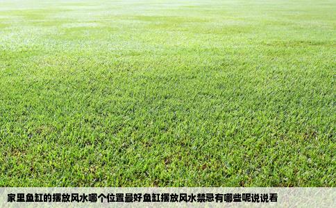 家里鱼缸的摆放风水哪个位置最好鱼缸摆放风水禁忌有哪些呢说说看