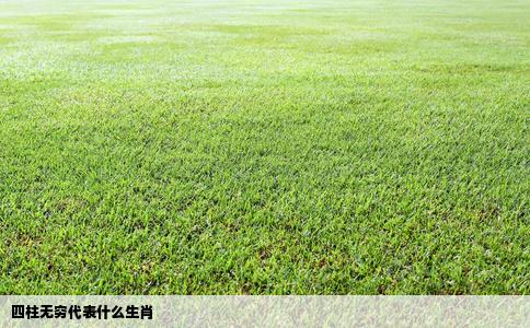 四柱无穷代表什么生肖