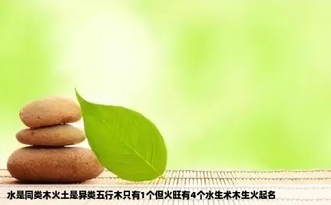 水是同类木火土是异类五行木只有1个但火旺有4个水生术木生火起名