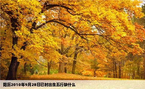 阳历2010年9月28日已时出生五行缺什么