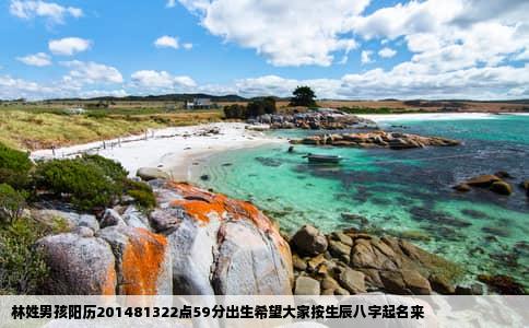 林姓男孩阳历201481322点59分出生希望大家按生辰八字起名来