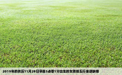 2019年的农历11月28日早晨5点零1分出生的女孩按五行来讲缺啥