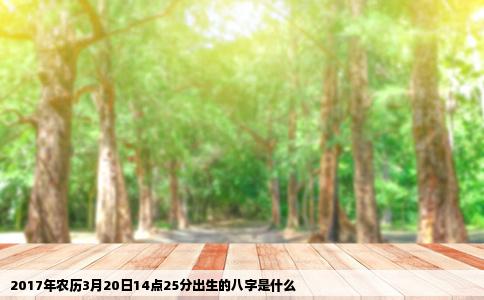 2017年农历3月20日14点25分出生的八字是什么