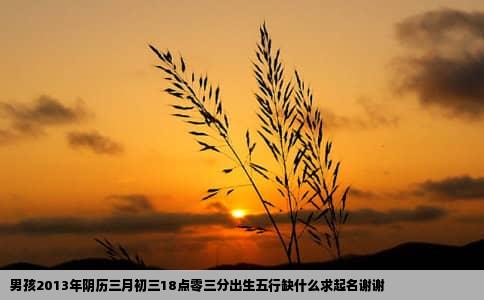 男孩2013年阴历三月初三18点零三分出生五行缺什么求起名谢谢