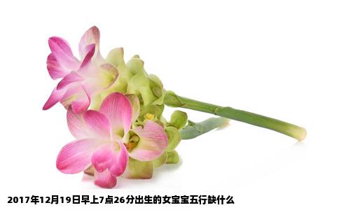 2017年12月19日早上7点26分出生的女宝宝五行缺什么