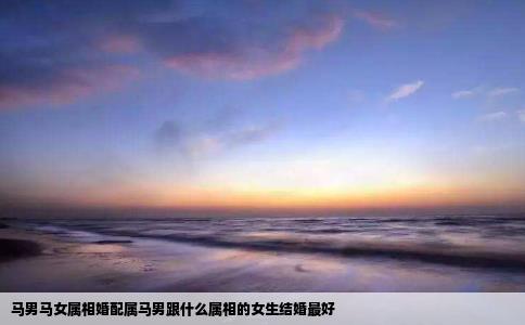 马男马女属相婚配属马男跟什么属相的女生结婚最好