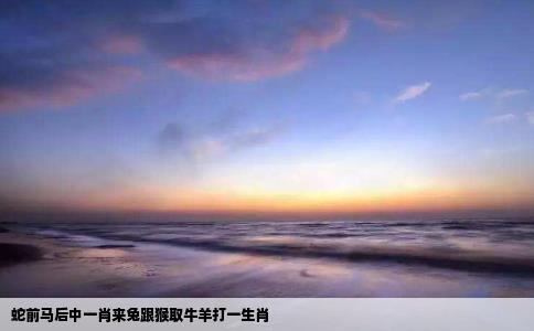 蛇前马后中一肖来兔跟猴取牛羊打一生肖