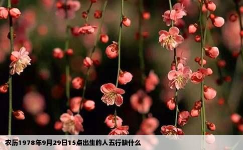 农历1978年9月29日15点出生的人五行缺什么