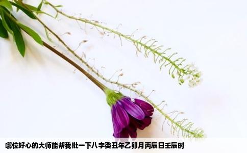 哪位好心的大师能帮我批一下八字癸丑年乙卯月丙辰日壬辰时