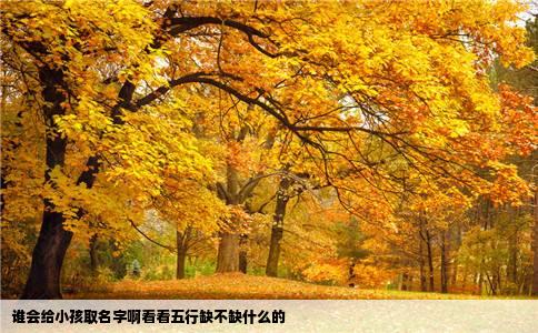 谁会给小孩取名字啊看看五行缺不缺什么的