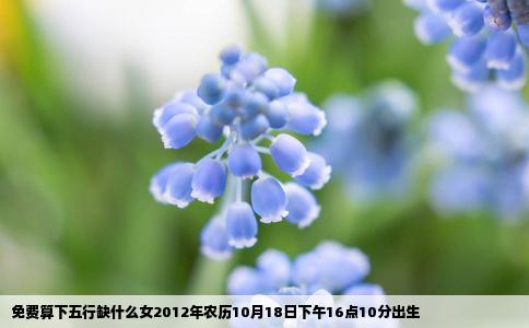 免费算下五行缺什么女2012年农历10月18日下午16点10分出生