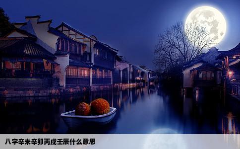 八字辛未辛卯丙戌壬辰什么意思