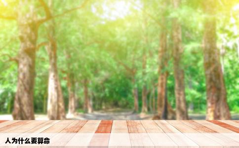 人为什么要算命
