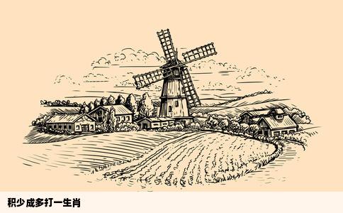积少成多打一生肖