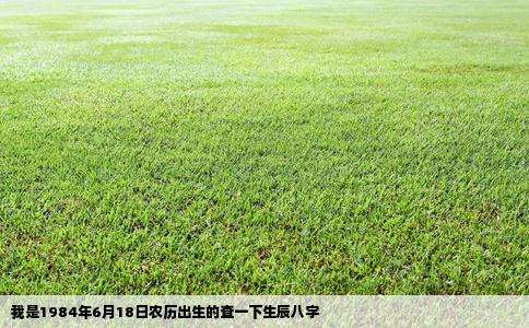 我是1984年6月18日农历出生的查一下生辰八字