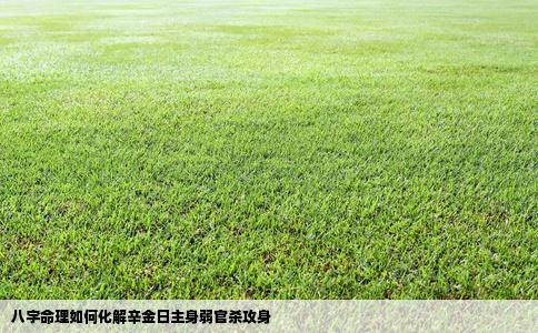 八字命理如何化解辛金日主身弱官杀攻身