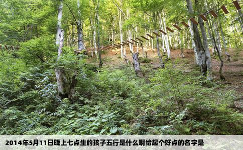 2014年5月11日晚上七点生的孩子五行是什么啊给起个好点的名字是