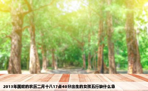 2013年属蛇的农历二月十八17点40分出生的女孩五行缺什么急
