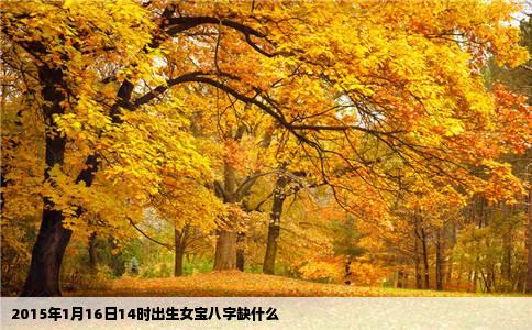 2015年1月16日14时出生女宝八字缺什么