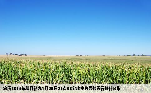 农历2015年腊月初九1月28日23点38分出生的男孩五行缺什么取