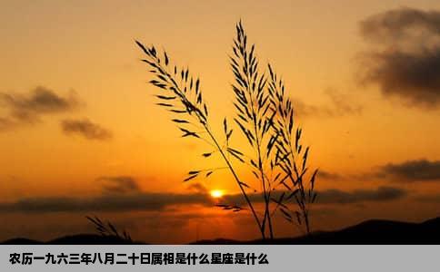 农历一九六三年八月二十日属相是什么星座是什么