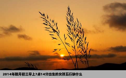 2014年腊月初三早上7点14分出生的女孩五行缺什么