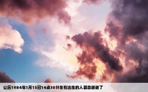 公历1984年1月15日14点30分左右出生的人算命谢谢了