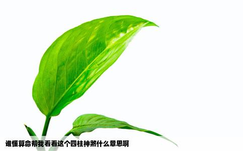 谁懂算命帮我看看这个四柱神煞什么意思啊