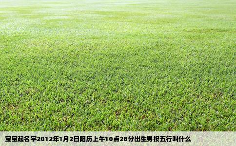 宝宝起名字2012年1月2日阳历上午10点28分出生男按五行叫什么