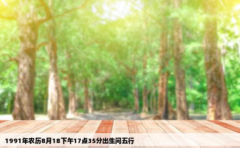 1991年农历8月18下午17点35分出生问五行