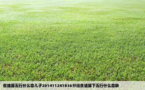 在线算五行什么命儿子201411241836分出生请算下五行什么命缺