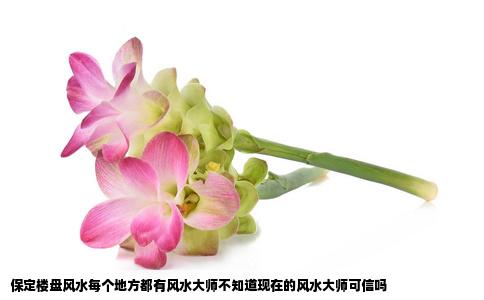 保定楼盘风水每个地方都有风水大师不知道现在的风水大师可信吗