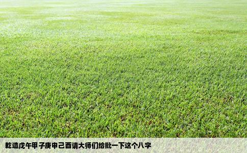 乾造戊午甲子庚申己酉请大师们给批一下这个八字