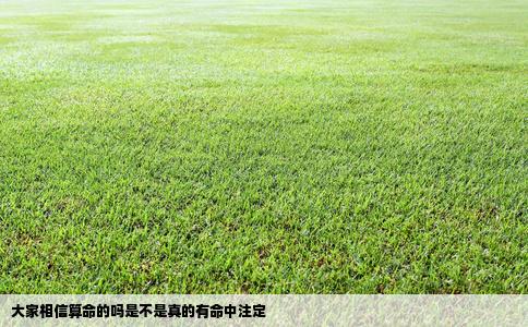 大家相信算命的吗是不是真的有命中注定
