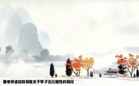 蔡老师请你指导我关于甲子五行属性的疑问