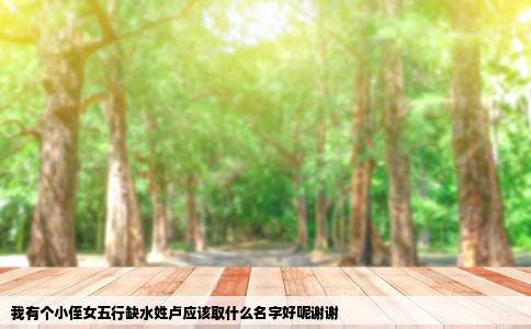 我有个小侄女五行缺水姓卢应该取什么名字好呢谢谢