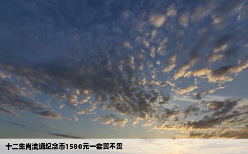 十二生肖流通纪念币1580元一套贵不贵