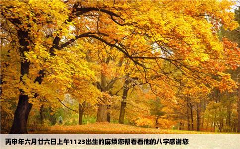 丙申年六月廿六日上午1123出生的麻烦您帮看看他的八字感谢您