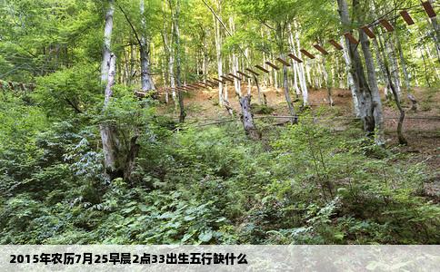 2015年农历7月25早晨2点33出生五行缺什么