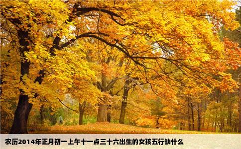 农历2014年正月初一上午十一点三十六出生的女孩五行缺什么