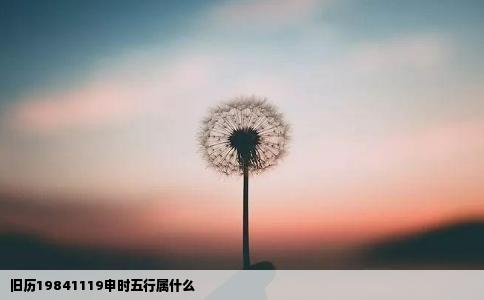旧历19841119申时五行属什么