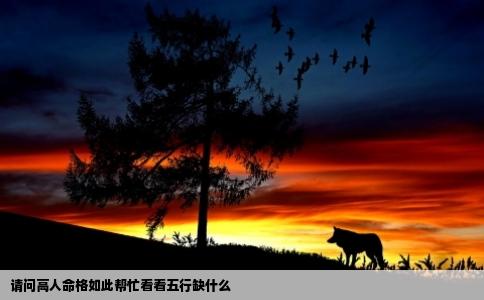 请问高人命格如此帮忙看看五行缺什么