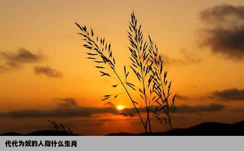 代代为奴的人指什么生肖