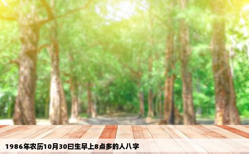 1986年农历10月30曰生早上8点多的人八字