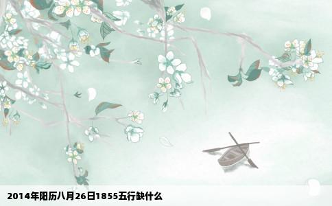 2014年阳历八月26日1855五行缺什么